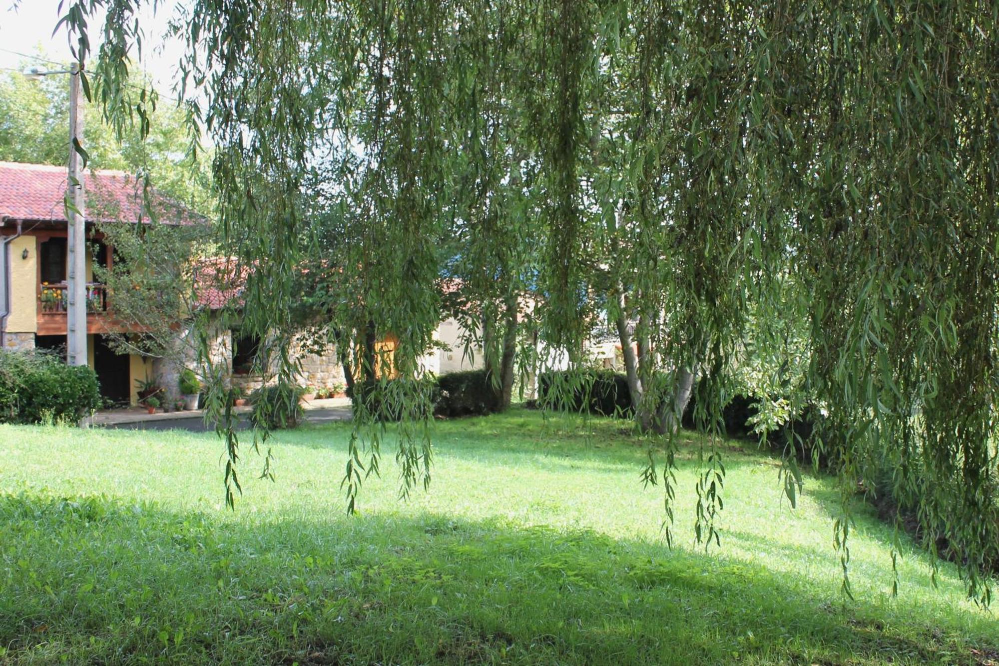Casa De Aldea Monga 9 En Nava, Asturias 빌라 외부 사진